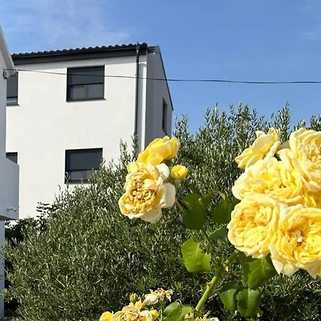 Апартаменты Mrgic